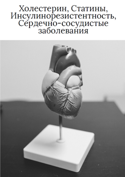 [О. Видманова] Холестерин, статины, инсулинорезист_0.png